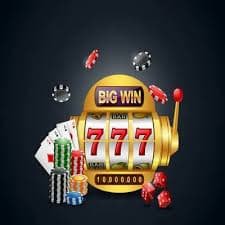 556 com bet 556 com bet